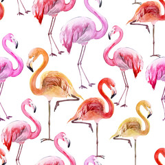 Beautiful multicolored flamingo on white background. Exotic seamless pattern. Watercolor painting. Hand drawn and painted illustration.