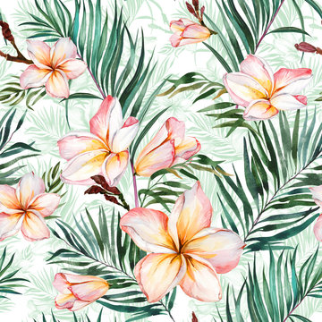 Plumeria flowers and exotic palm leaves in seamless tropical pattern. White background.  Watercolor painting. Hand drawn and painted floral illustration.