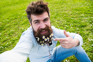 Man with beard enjoys spring, green meadow background. Guy with daisy or chamomile flowers in beard...