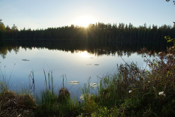 Forest lake on summer evening, smooth water surface with reflection of blue sky