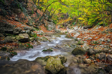 Fototapeta premium Beautiful autumn landscape with mountain river, stones and colorful trees. Mountain forest in Crimea.