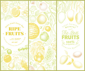 Fruits and berries hand drawn vector illustration. Retro engraved style banner set. Can be use for menu, label, packaging, farm market products.