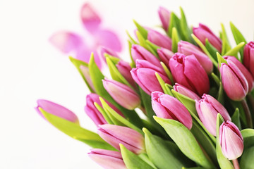 Bouquet of beautiful pink tulips