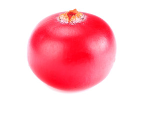 One cranberry isolated on white background. macro