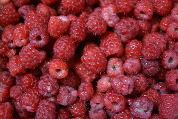 Raspberry from the village washed with water