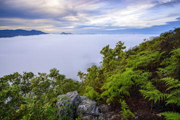 Fototapeta na wymiar The mist on the mountain, Gunung Silipat in Yala province south Thailand.