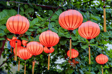 Obraz premium Traditional red lanterns on green foliage background in evening