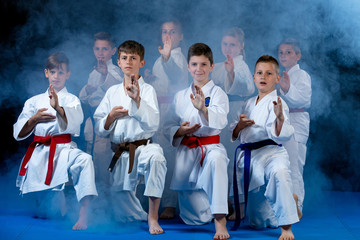 young, beautiful, successful multi ethical karate kids in karate position.