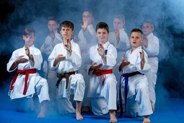 Photo sur Plexiglas Arts martiaux young, beautiful, successful multi ethical karate kids in karate position.