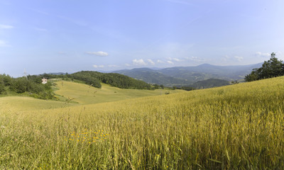 Obraz premium Panorama