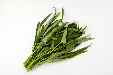 Fototapeta premium 空心菜（クウシンサイ）