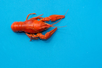boiled crawfish on blue cutting board food and drinks concept with empty space for copy or text