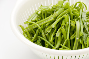 空心菜（クウシンサイ）の茎