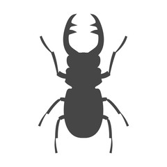 Stag beetle icon, deer beetle