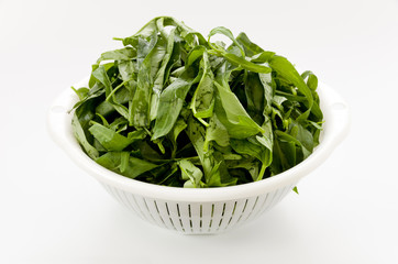 空心菜（クウシンサイ）の葉