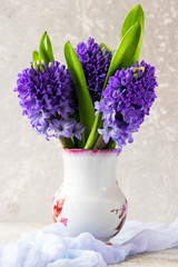 Bouquet of hyacinths on a light background
