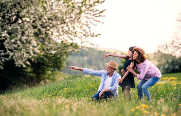 Senior couple with granddaughter outside in spring nature, pointing finger at something.