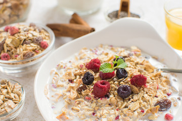 Muesli With Milk, Chia Seeds, Berries and Cinnamon as Healthy Breakfast
