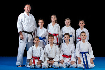 young, beautiful, successful multi ethical karate kids in karate position.