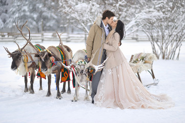 Winter wedding European bridegroom and Asian bride with a harness of reindeer