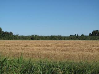 paesaggio agricolo di campagna