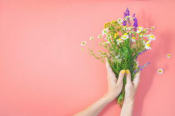Female hands collect a bouquet of wildflowers on a pink background Copy space Top view