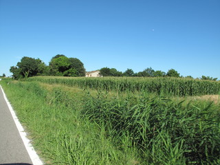 paesaggio agricolo di campagna