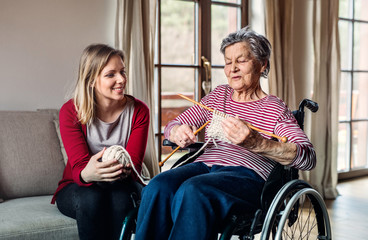 An elderly grandmother in wheelchair with an adult granddaughter knitting at home.