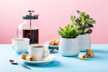 Beautiful composition with two cups of coffee with crispy mini wafer rolls and indoor plants succulent on blue and pink background with copy space.
