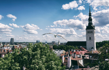 Old Tallinn - Estonia