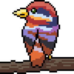 vector pixel art colorful bird