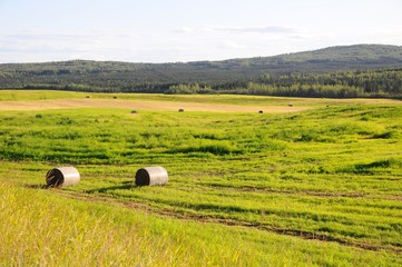 Pasture roll in grass field in Fairbanks, Alaska