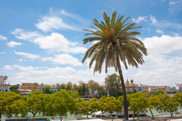 Obraz premium Cityscape and Guadalquivir River in Seville, Spain