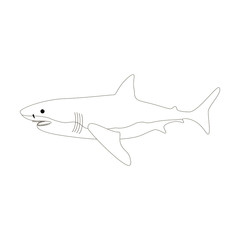 Shark coloring pages