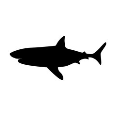Fototapeta premium Shark silhouette illustration