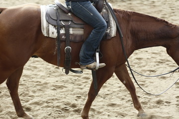 local farmers riding their quaterhorses, competing at a cutting horse, futurity event in rural new...