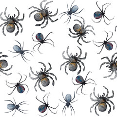 watercolour pattern spider animal