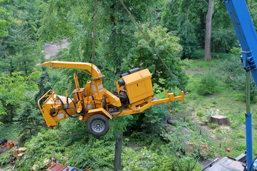 Mobile yellow wood and branches shredder in the city park
