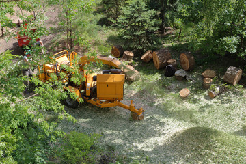 Mobile yellow wood and branches shredder in the city park
