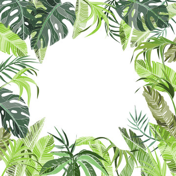 Tropical jungle plants background