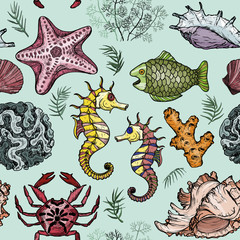Nahtloses Muster mit Muscheln, Fischen, Korallen und Schildkröten