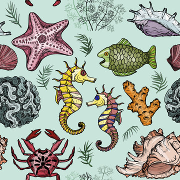 Seamless pattern with sea shells, fish, corals and turtle