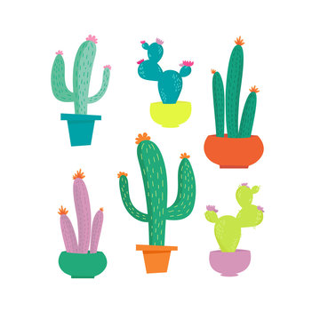 Modern vector illustration with cute cactus set isolated on white background.