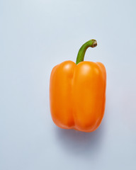 homegrown fresh yellow pepper on a gray background