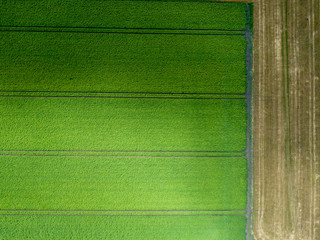 Luftaufnahme von verschiedenen landwirtschaftlichen Feldern