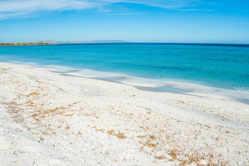 White sand and turquoise water in Stintino shore