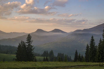 Beautiful summer morning in Carpathian Mountains