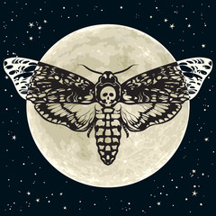 Death Head Moth Stock Photos And Royalty Free Images Vectors And