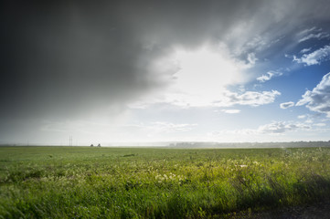 Obraz na płótnie Canvas Storm dark clouds over field with grass