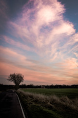 Pink sky and clouds over fields and road